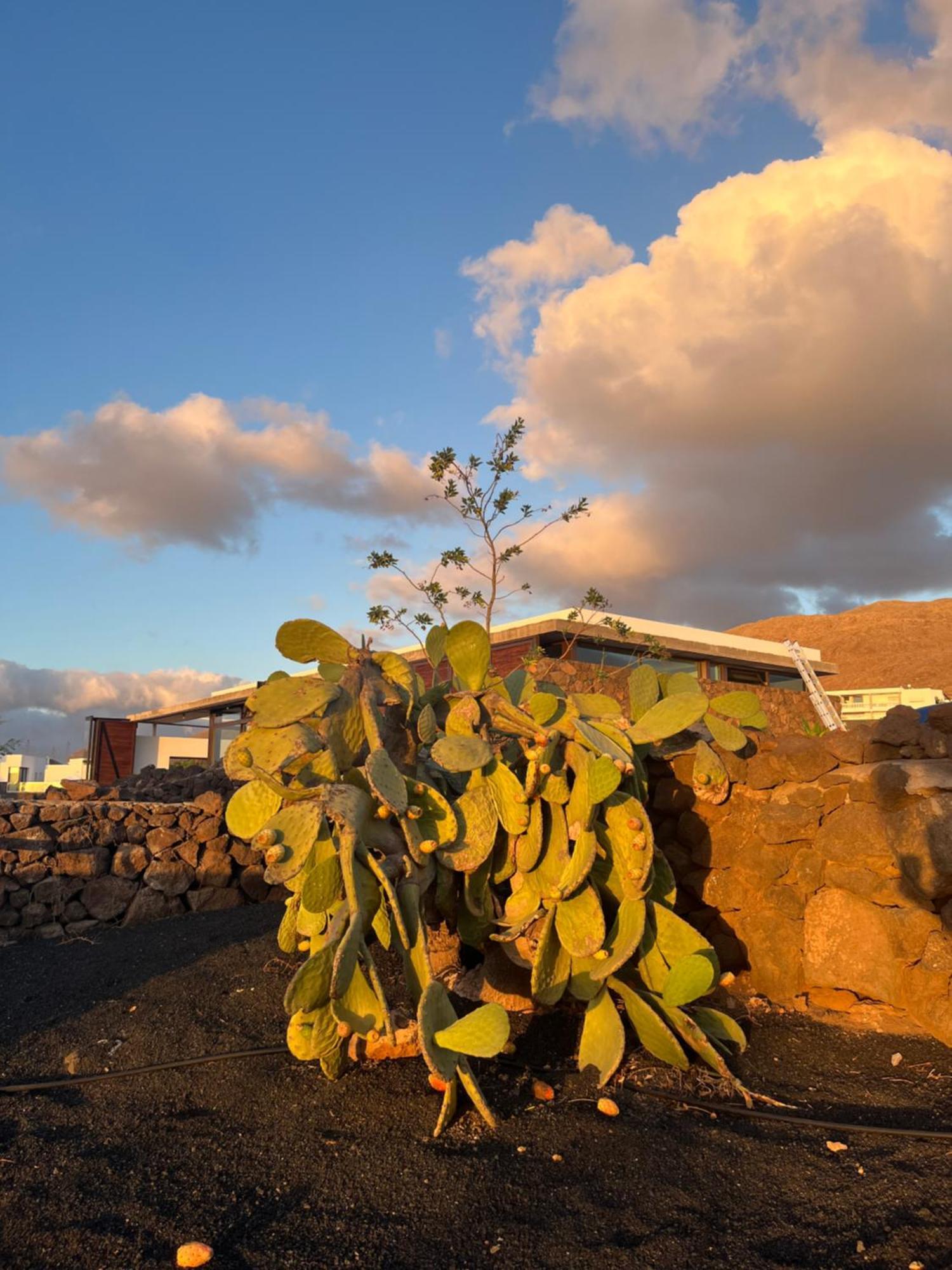 Finca Antigua Las Breñas Екстериор снимка